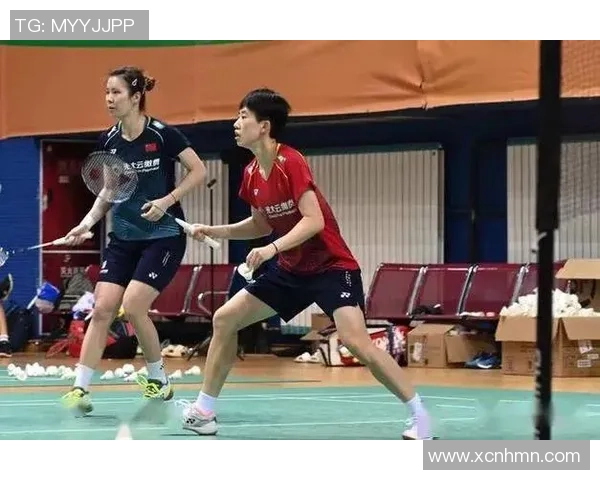 深圳羽毛球队与南京羽毛球队赛后复盘分析灵活性对比及战术启示